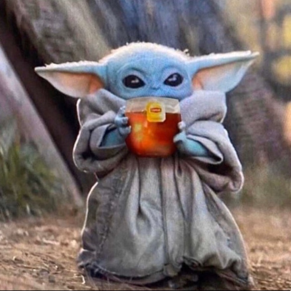 Meet your Posher, Anja